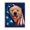 Stupell Industries Puppy & American Flag Framed Giclee Art